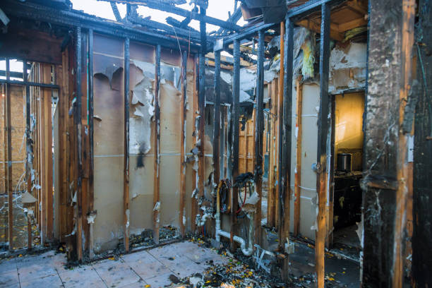 Professional Smoke Damage Removal technician working in Indian Rocks Beach, FL